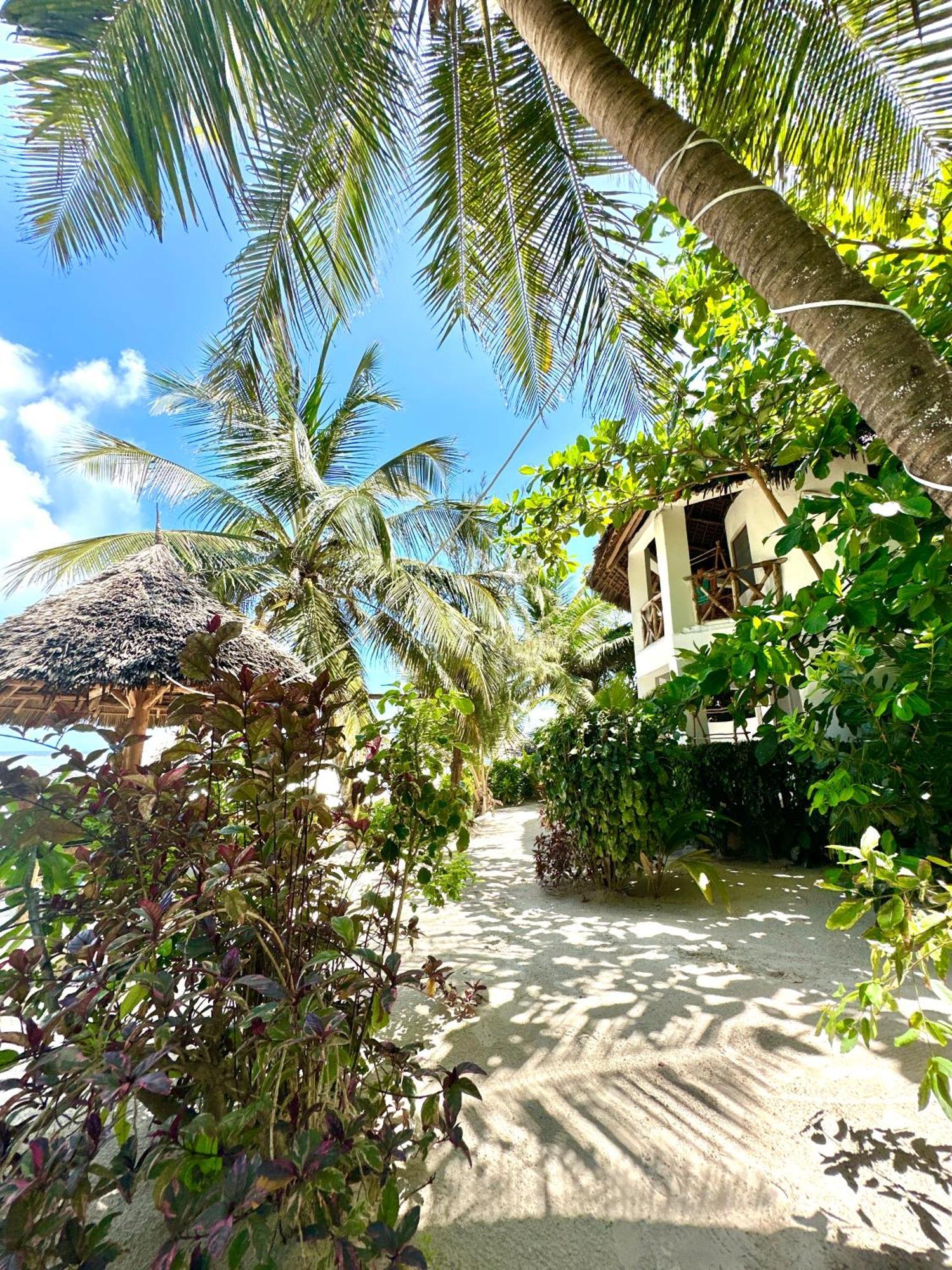 Hebe Bungalows Lodge Matemwe  Exterior photo