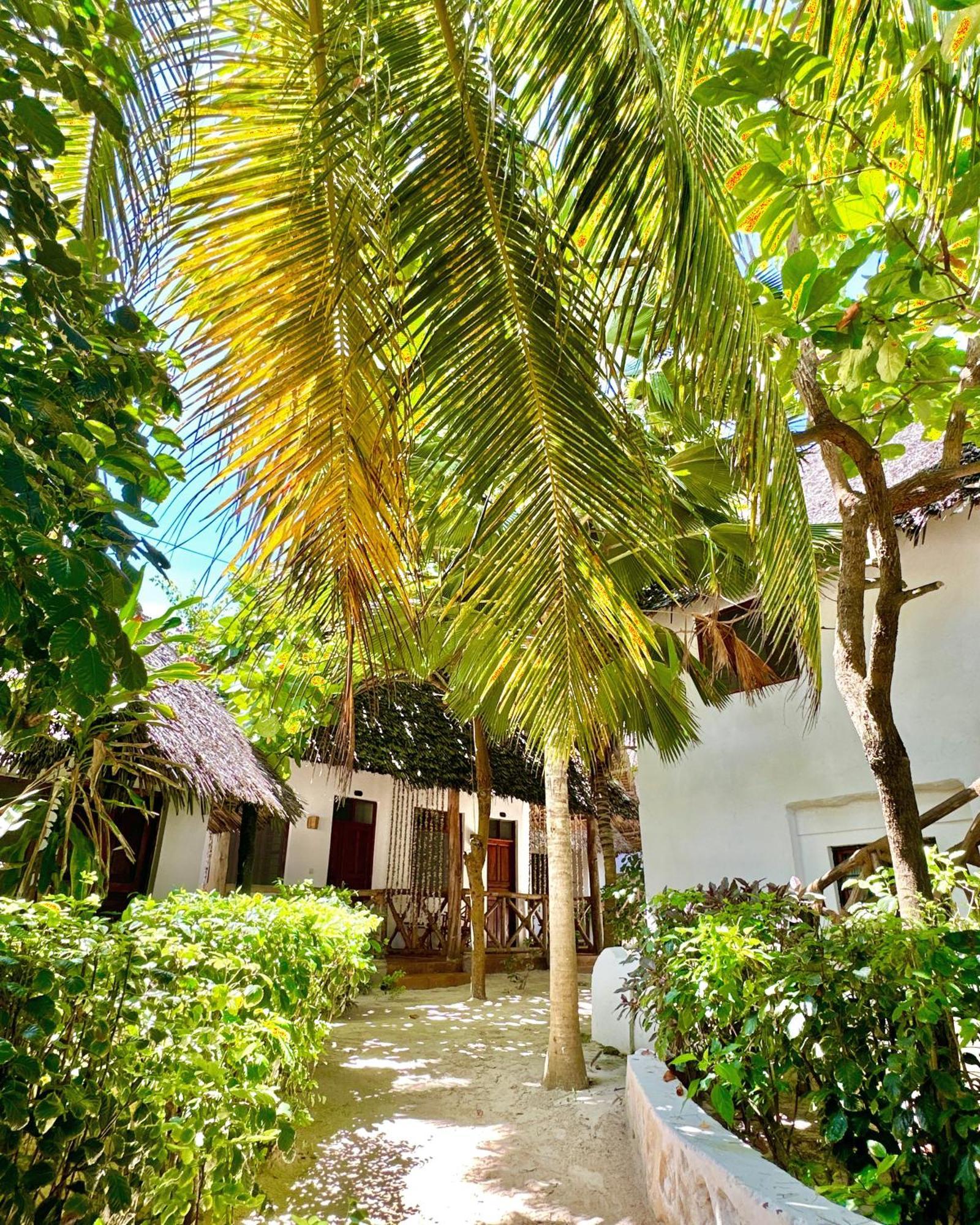 Hebe Bungalows Lodge Matemwe  Exterior photo