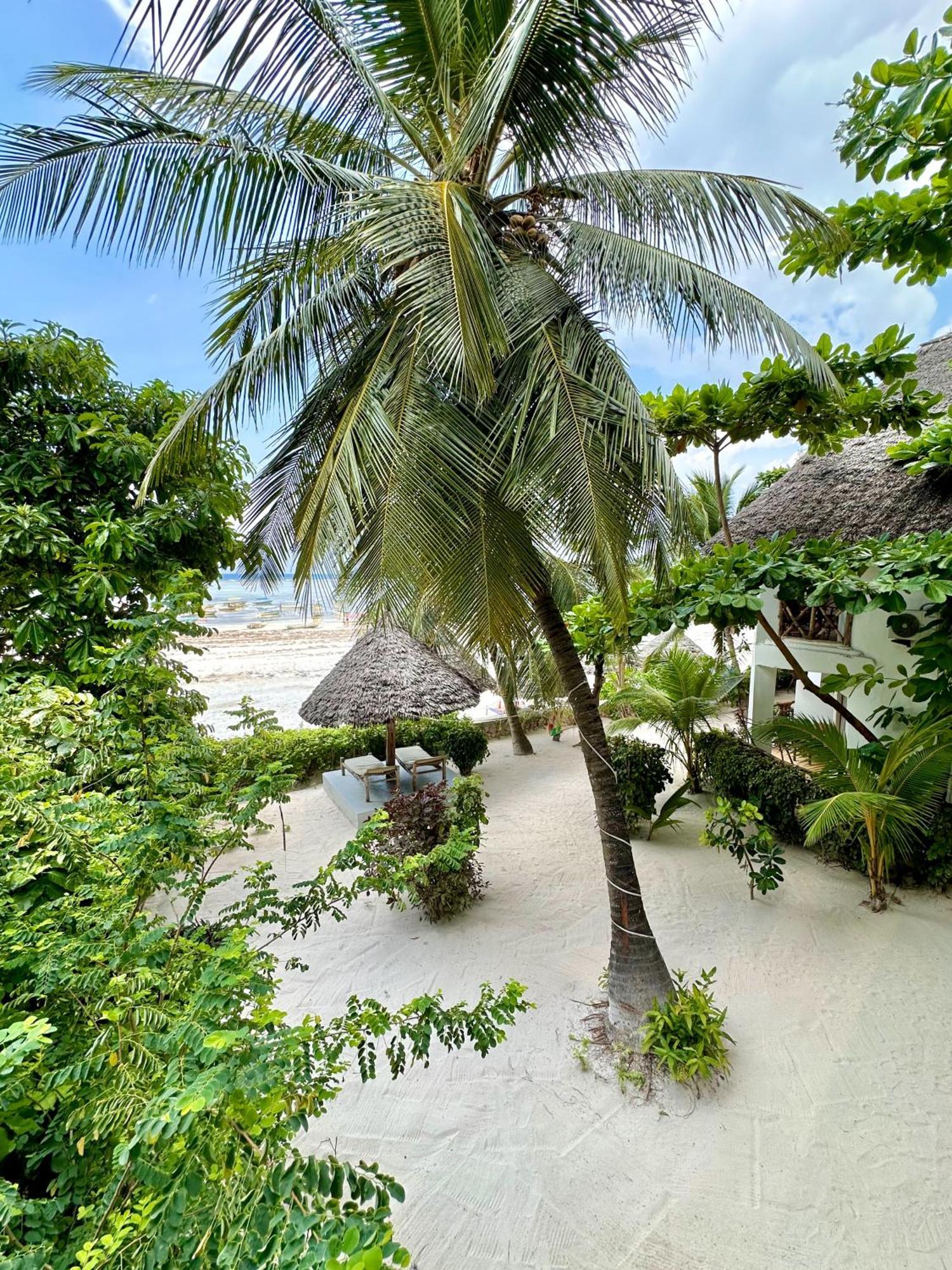Hebe Bungalows Lodge Matemwe  Exterior photo